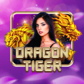 Dragon Tiger big bunny RTP