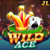 Wild Ace big bunny slot